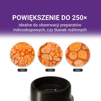 Science Can Przenośny Mikroskop Młodego Badacza 250×, 8+ | Edukacyjny zestaw naukowy do obserwacji