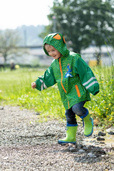 Kalosze rozm. 25, Dino, Playshoes