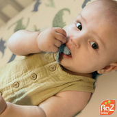 Gryzak, Różowa Malina, RaZbaby 