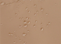 Kocyk i Śpiworek 2w1, STAR, różowy, Kaiser