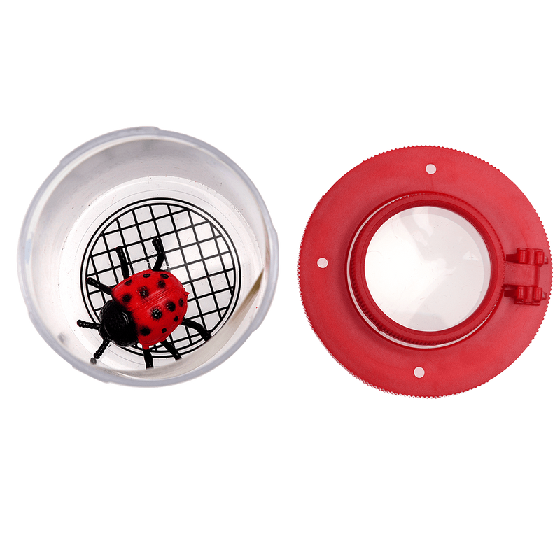 Pudełko ze szkłem powiększającym, Cuda Natury, Rex London