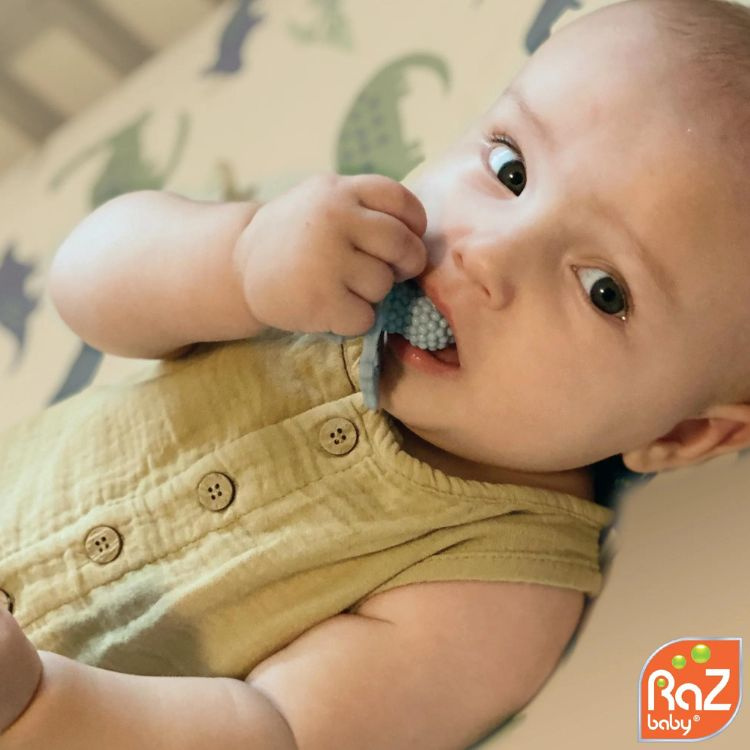 Gryzak, Różowa Malina, RaZbaby 