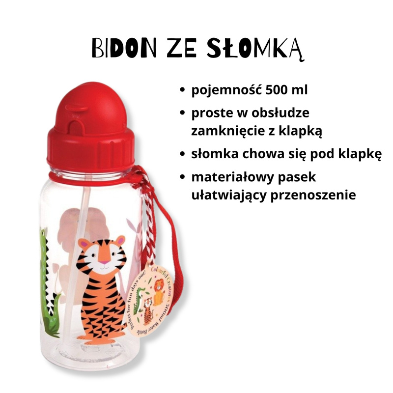 Rex London Zestaw śniadaniowy do szkoły lunchbox i bidon ze słomką 500 ml Zwierzęta
