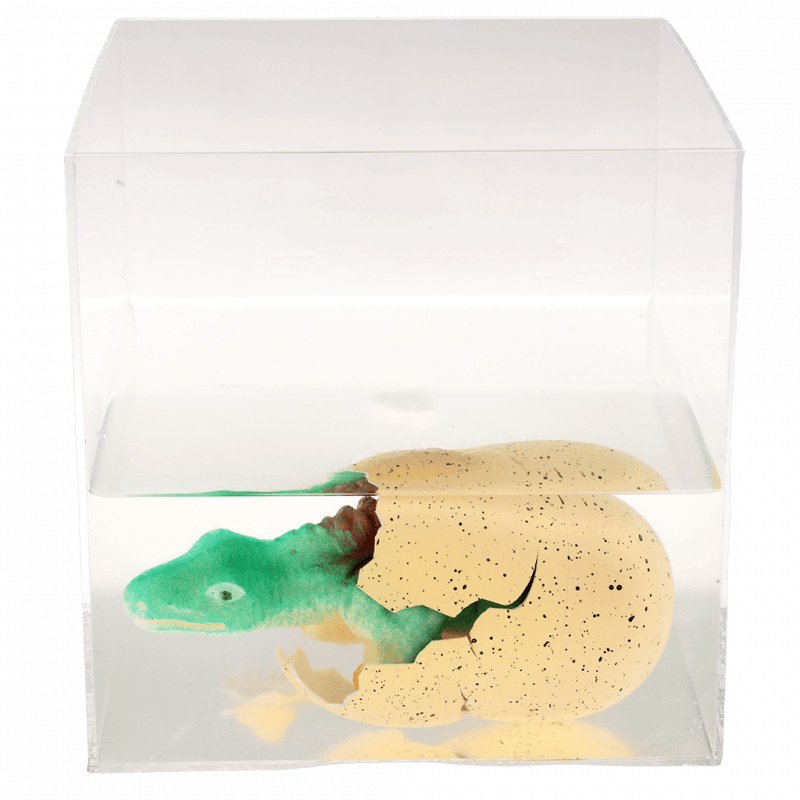 Dinozaur wykluwający się z jajka, zestaw kreatywny, Dinozaury, 3+, Rex London