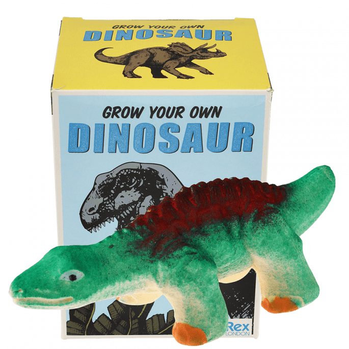 Dinozaur wykluwający się z jajka, zestaw kreatywny, Dinozaury, 3+, Rex London