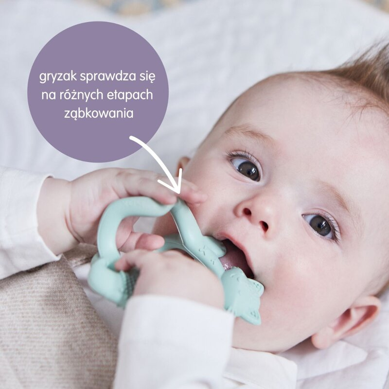 Gryzak lisek, róż, b.box, OUTLET