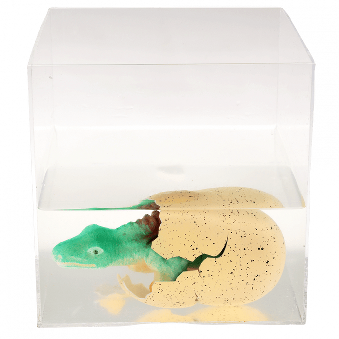 Dinozaur wykluwający się z jajka, zestaw kreatywny, Dinozaury, 3+, Rex London