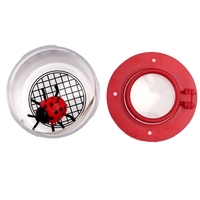 Pudełko ze szkłem powiększającym, Cuda Natury, Rex London