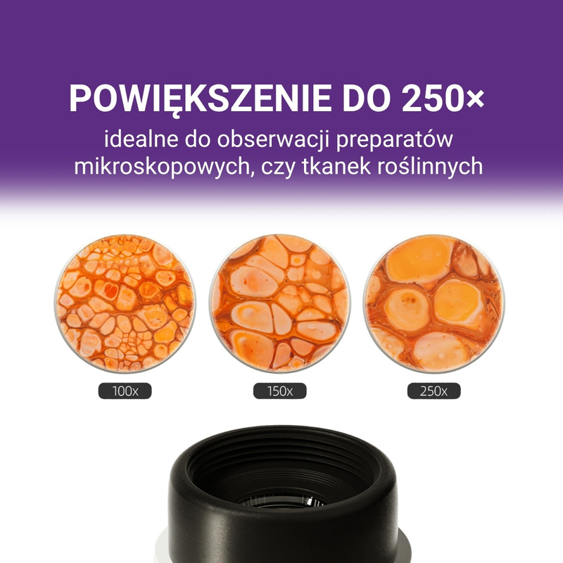 Science Can Przenośny Mikroskop Młodego Badacza 250×, 8+ | Edukacyjny zestaw naukowy do obserwacji