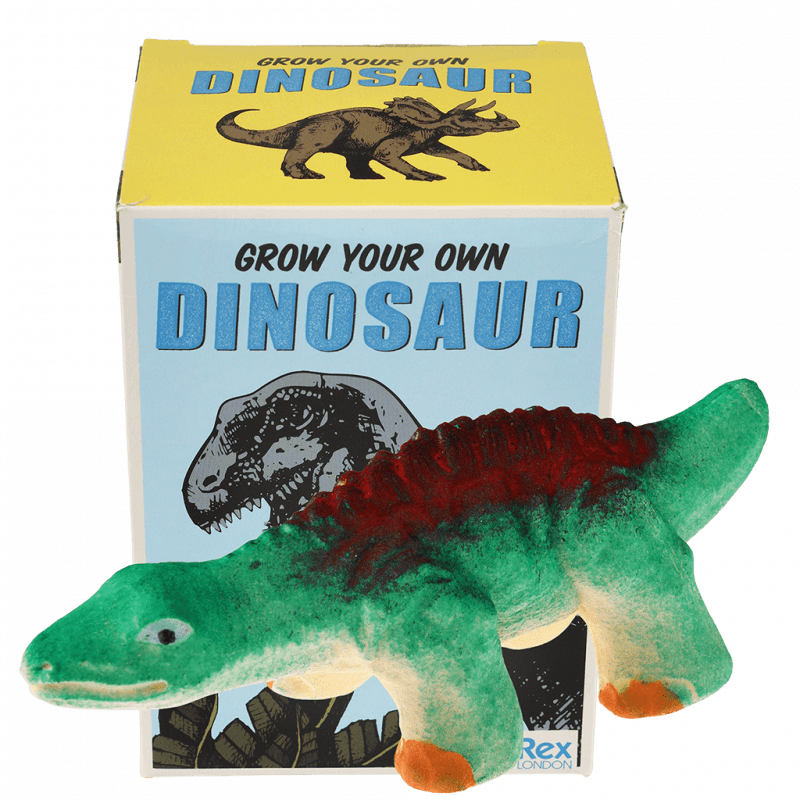 Dinozaur wykluwający się z jajka, zestaw kreatywny, Dinozaury, 3+, Rex London