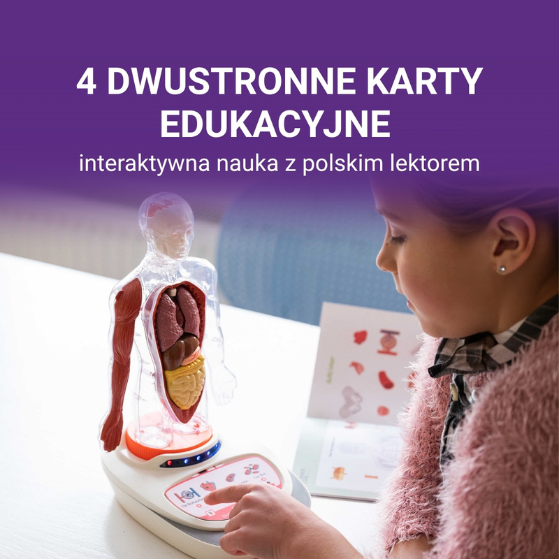 Science Can Ciało Człowieka – Interaktywny Model 3D, 6+ | Edukacyjny model anatomiczny z elementami do składania