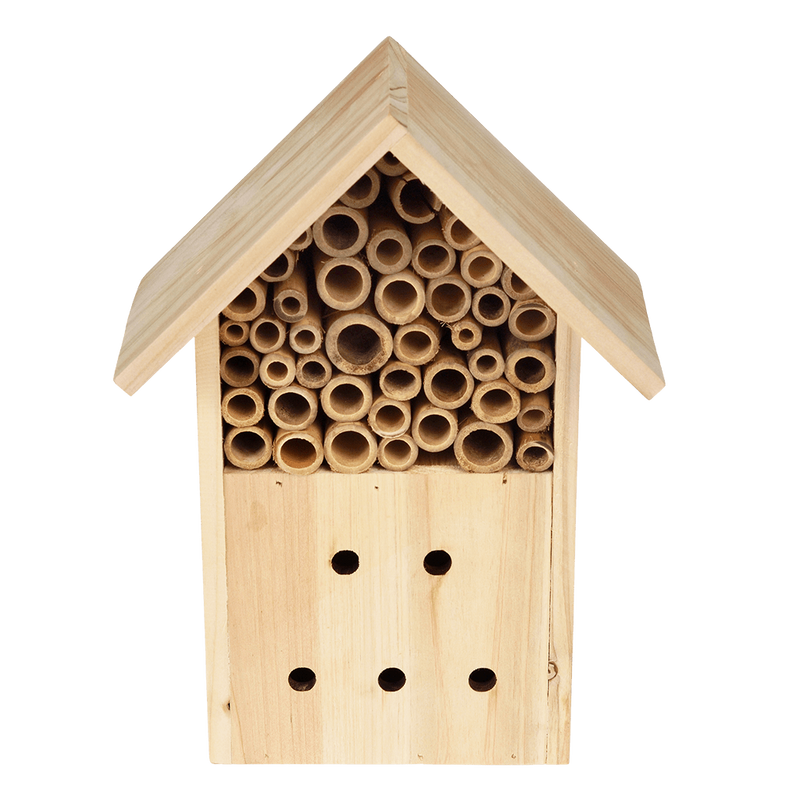 Domek dla owadów, Rex London